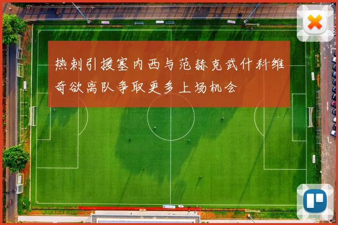 热刺引援塞内西与范赫克武什科维奇欲离队争取更多上场机会