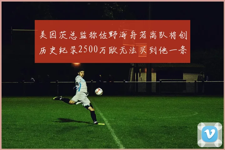 美因茨总监称佐野海舟若离队将创历史纪录2500万欧无法买到他一条腿