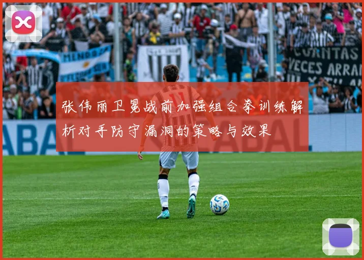 张伟丽卫冕战前加强组合拳训练解析对手防守漏洞的策略与效果