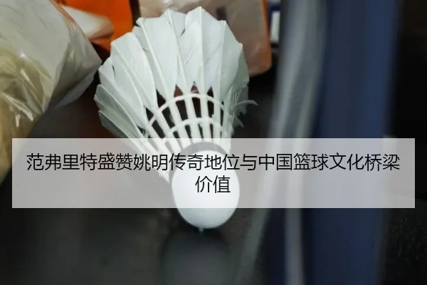 范弗里特盛赞姚明传奇地位与中国篮球文化桥梁价值